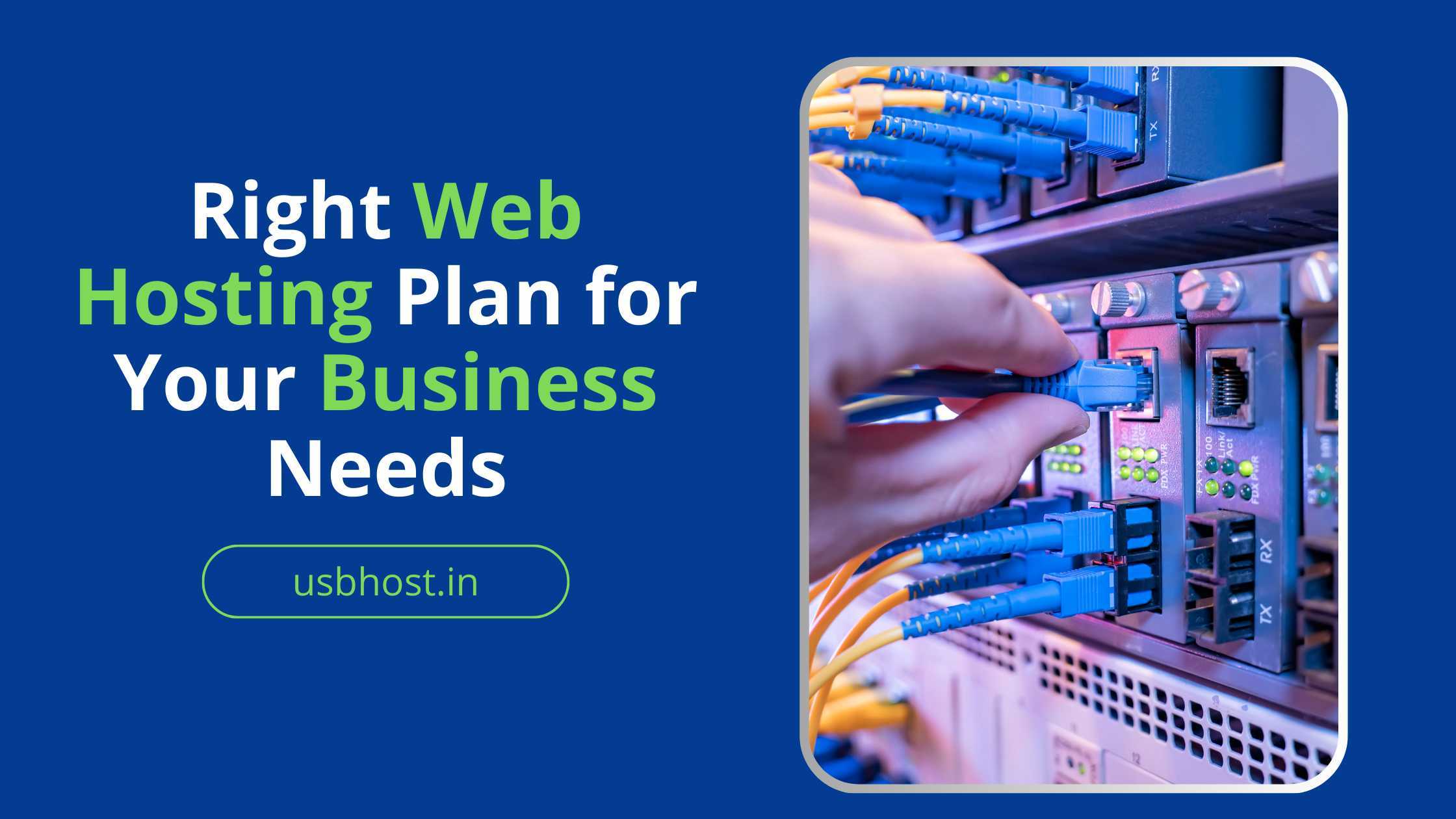 Choosing-the-Right-Web-Hosting-Plan-for-Your-Business-Needs